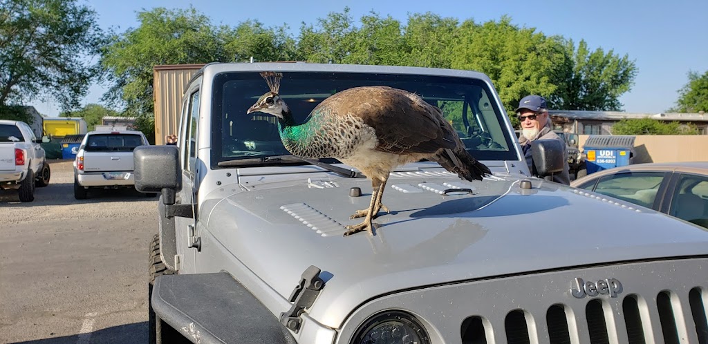 Skillets Cafe | restaurant | 990 AZ-89, Chino Valley, AZ 86323, USA | 9282375235 OR +1 928-237-5235