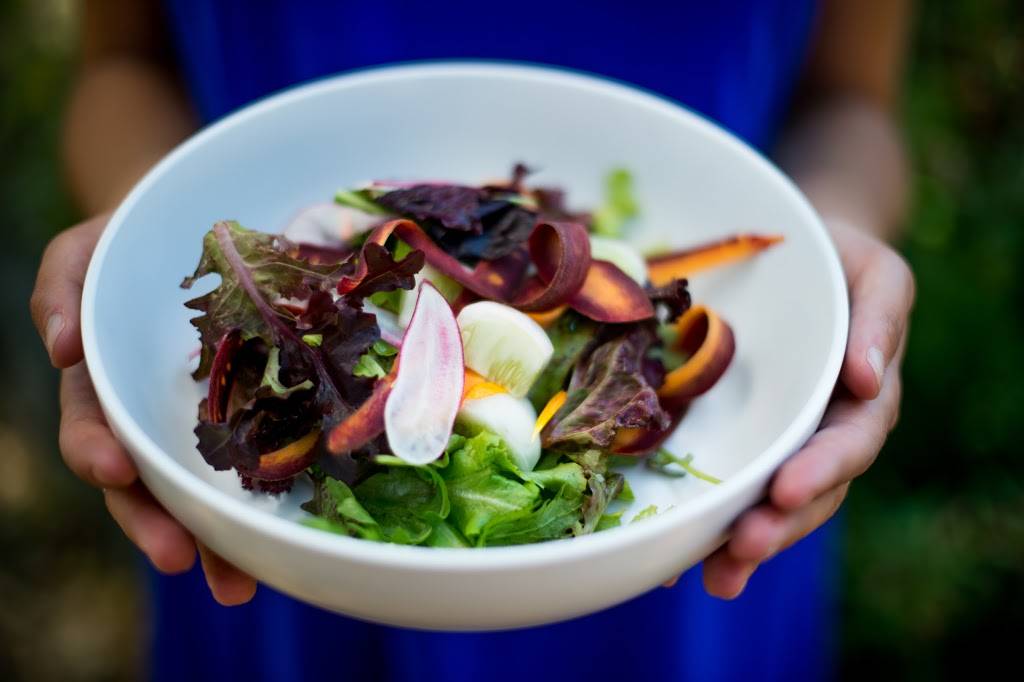 Russian River Vineyards | restaurant | 5700 CA-116, Forestville, CA 95436, USA | 7078873344 OR +1 707-887-3344