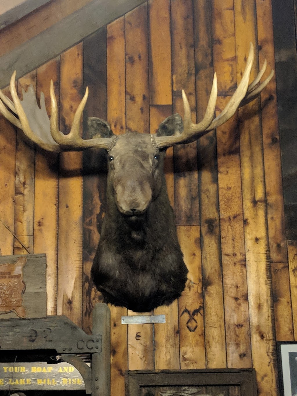 Mormon Lake Lodge Steak House | restaurant | 1 Mormon Lake Rd, Mormon Lake, AZ 86038, USA | 9283542227 OR +1 928-354-2227