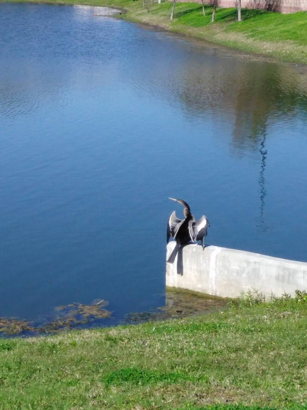 Dragon Phoenix Chinese Cuisine | restaurant | 9621 Bay Pines Blvd, St. Petersburg, FL 33708, USA | 7273998646 OR +1 727-399-8646