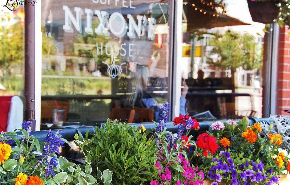 Nixons Coffee House | cafe | 871 Englewood Pkwy, Englewood, CO 80110, USA | 3035045224 OR +1 303-504-5224