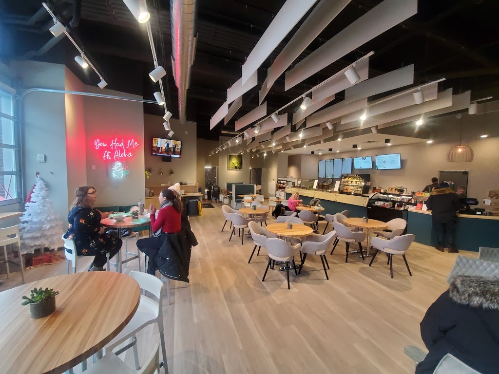 Fresh Catch Poke and The Galley Lounge | restaurant | 305 Franklin St, Buffalo, NY 14202, USA | 7166977653 OR +1 716-697-7653