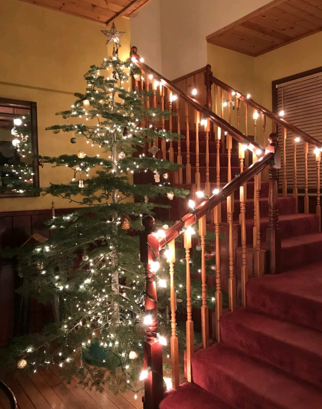 Ricochet Café | restaurant | Blackbird Inn, 276 Lower Main St, Clio, CA 96106, USA | 8592426058 OR +1 859-242-6058