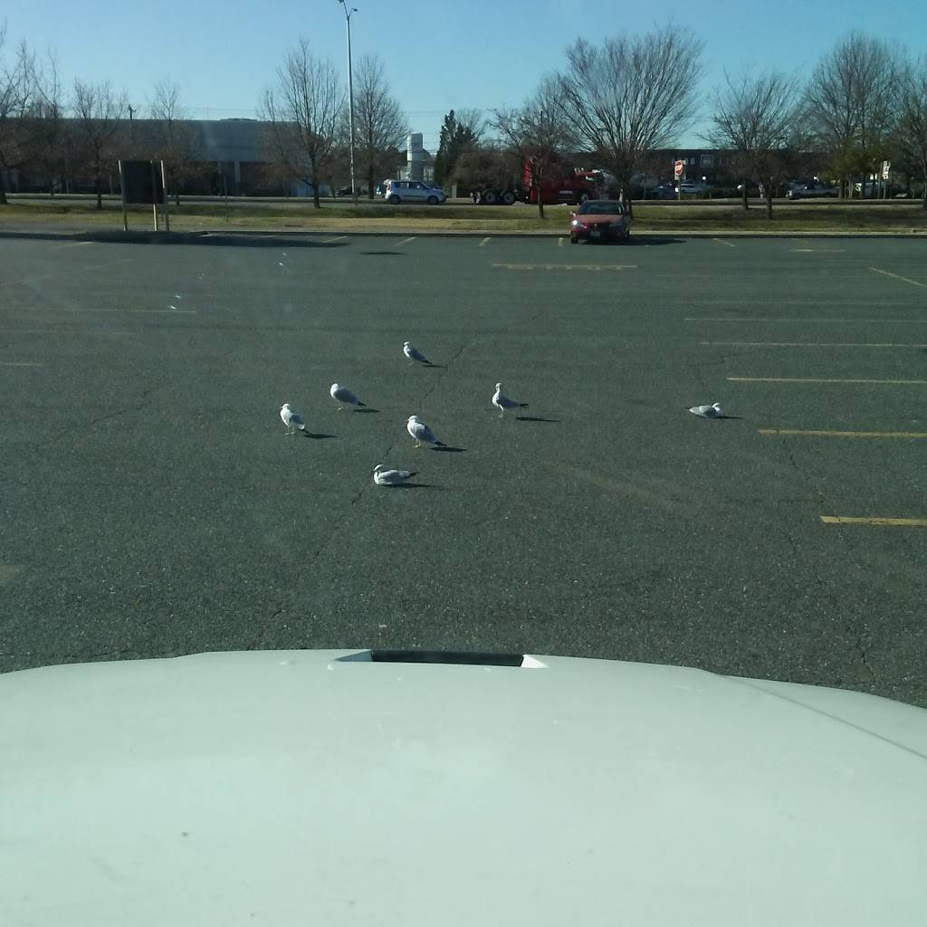 Hardees | restaurant | 800 Woods Rd, Cambridge, MD 21613, USA | 4102284080 OR +1 410-228-4080