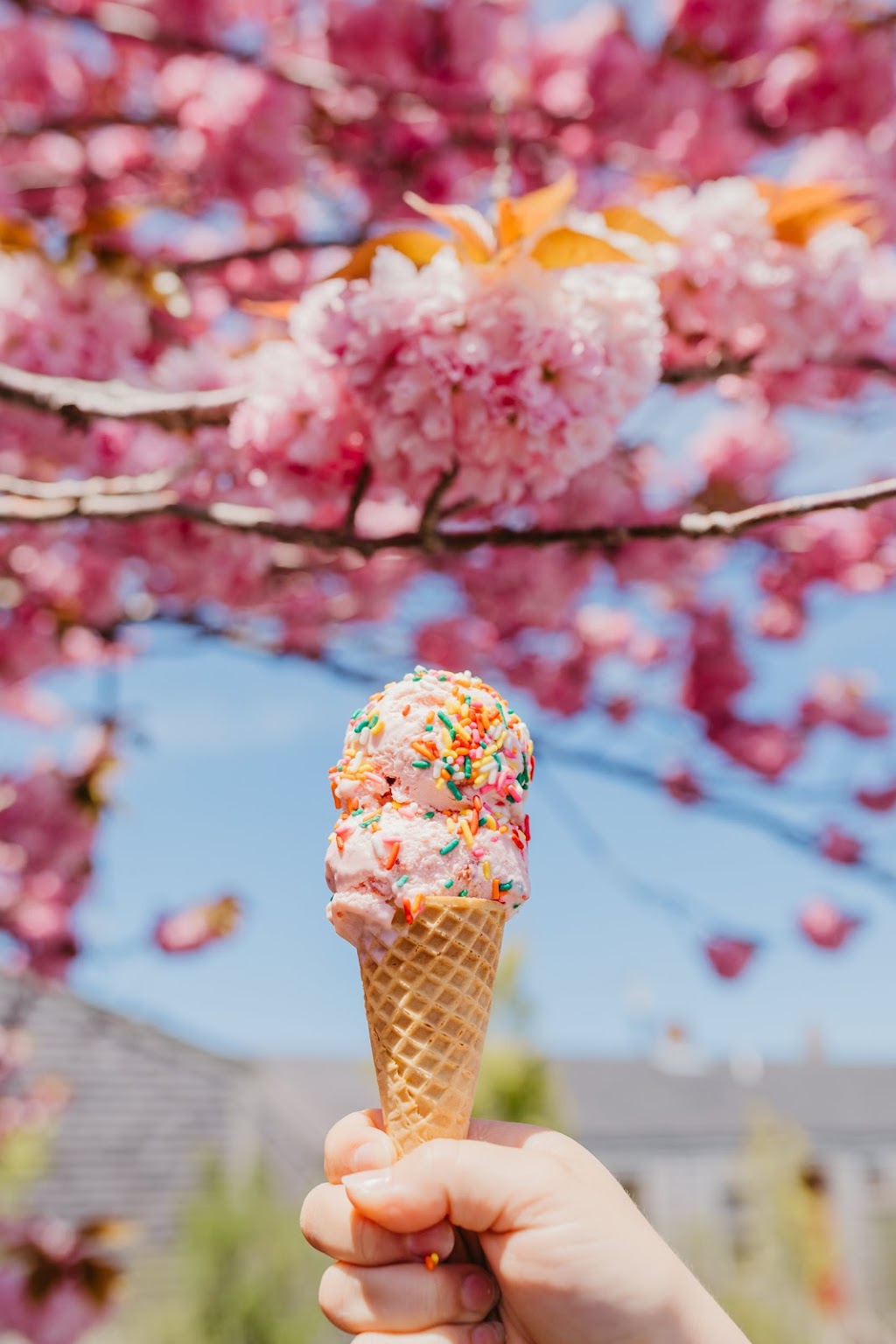 Island Kitchen | restaurant | 1 Chins Way, Nantucket, MA 02554, USA | 5082282639 OR +1 508-228-2639