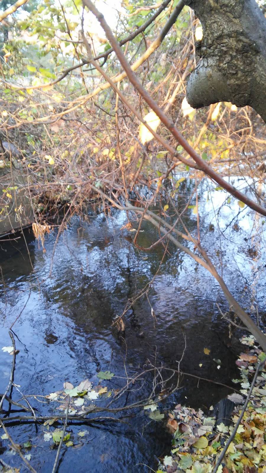 Bottoms Up Snacks & Spirits | meal takeaway | 930 W Michigan Ave, Kalamazoo, MI 49006, USA | 2693459920 OR +1 269-345-9920