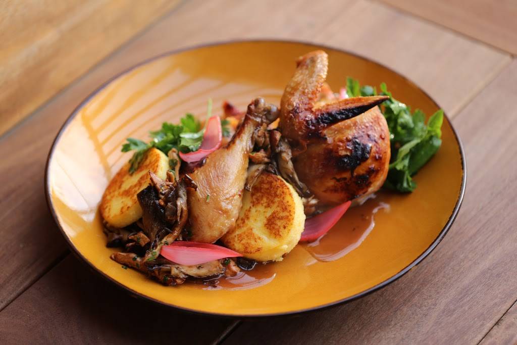 Terra & Vine | restaurant | 1701 Maple Ave, Evanston, IL 60201, USA | 8475634333 OR +1 847-563-4333