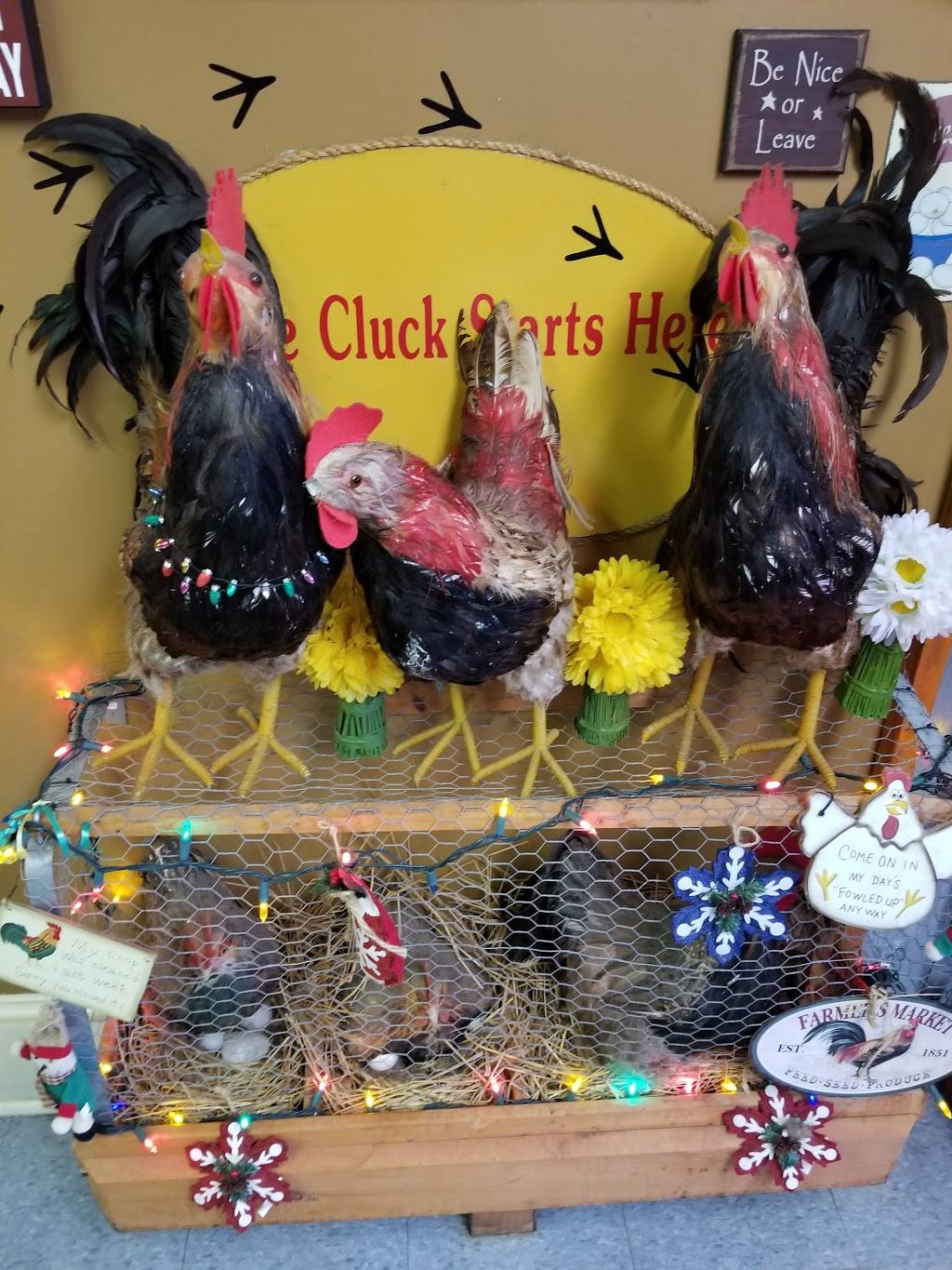 Donnie Russells Pic III | restaurant | 689 Stokes Rd, Medford, NJ 08055, USA | 6099537900 OR +1 609-953-7900