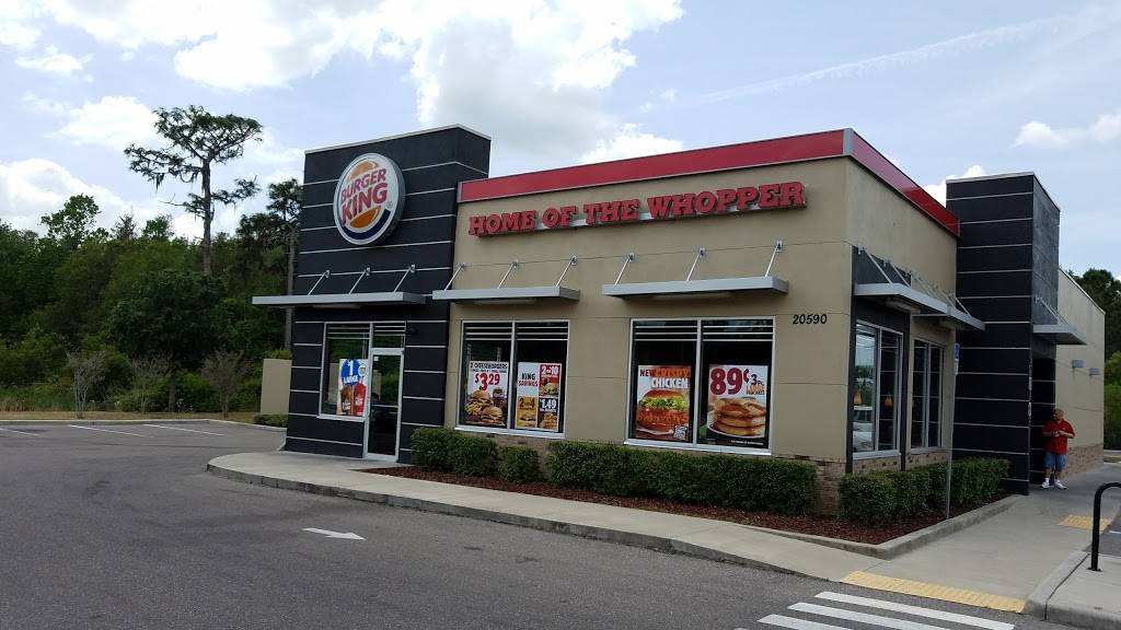 Burger King | restaurant | 20590 Bruce B Downs Blvd, Tampa, FL 33647, USA | 8139071700 OR +1 813-907-1700