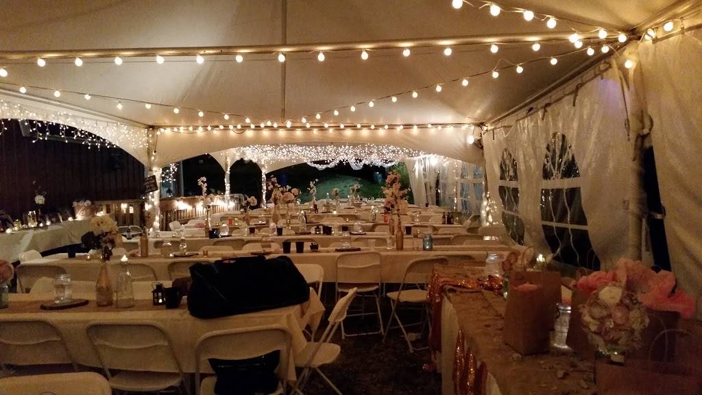 Council Hill Station | restaurant | 6521 N Hill Rd, Scales Mound, IL 61075, USA | 8157772711 OR +1 815-777-2711