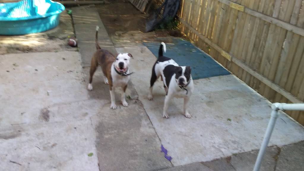 Red Barn Bar & Grill | restaurant | 646 N 8th St, Allentown, PA 18102, USA | 6104335376 OR +1 610-433-5376