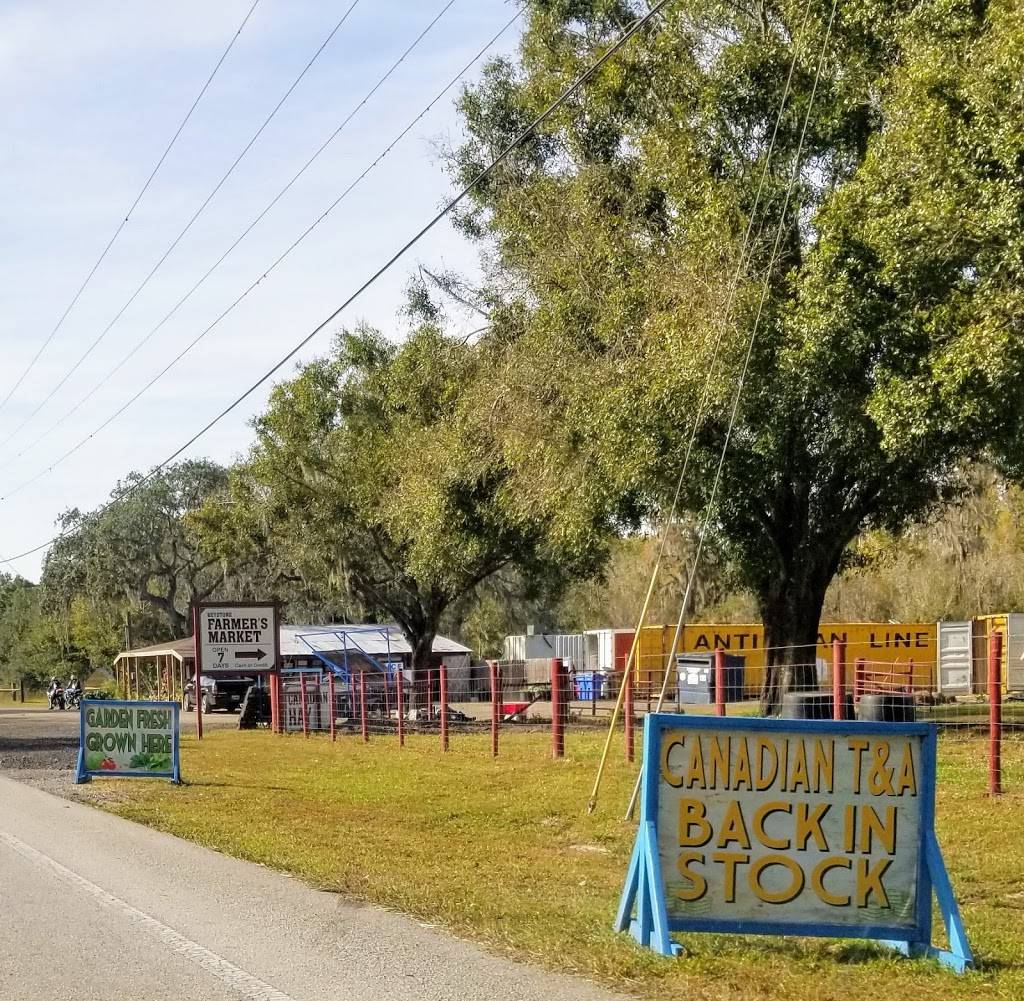 Lizzies cafe | restaurant | 12615 Tarpon Springs Rd, Odessa, FL 33556, USA | 8134529152 OR +1 813-452-9152