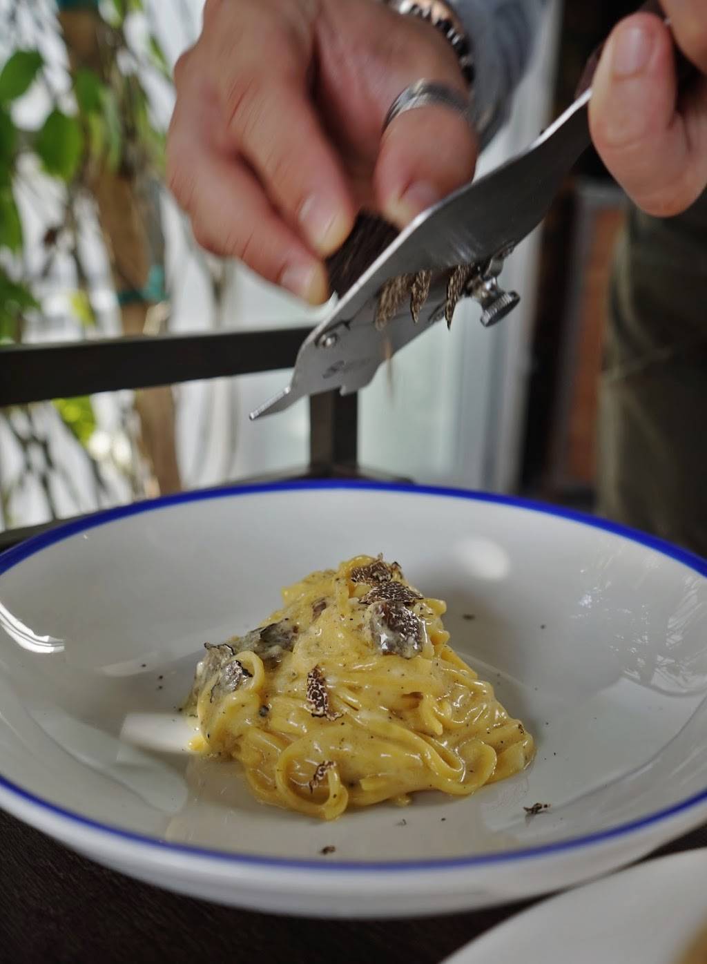 Palat | restaurant | 4702 NE 2nd Ave, Miami, FL 33137, USA | 7869537577 OR +1 786-953-7577