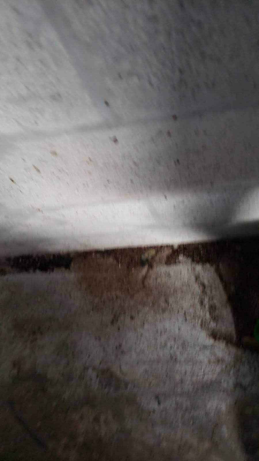 Pizza House | restaurant | 3068 Lake Worth Rd, Lake Worth, FL 33461, USA | 5612962900 OR +1 561-296-2900