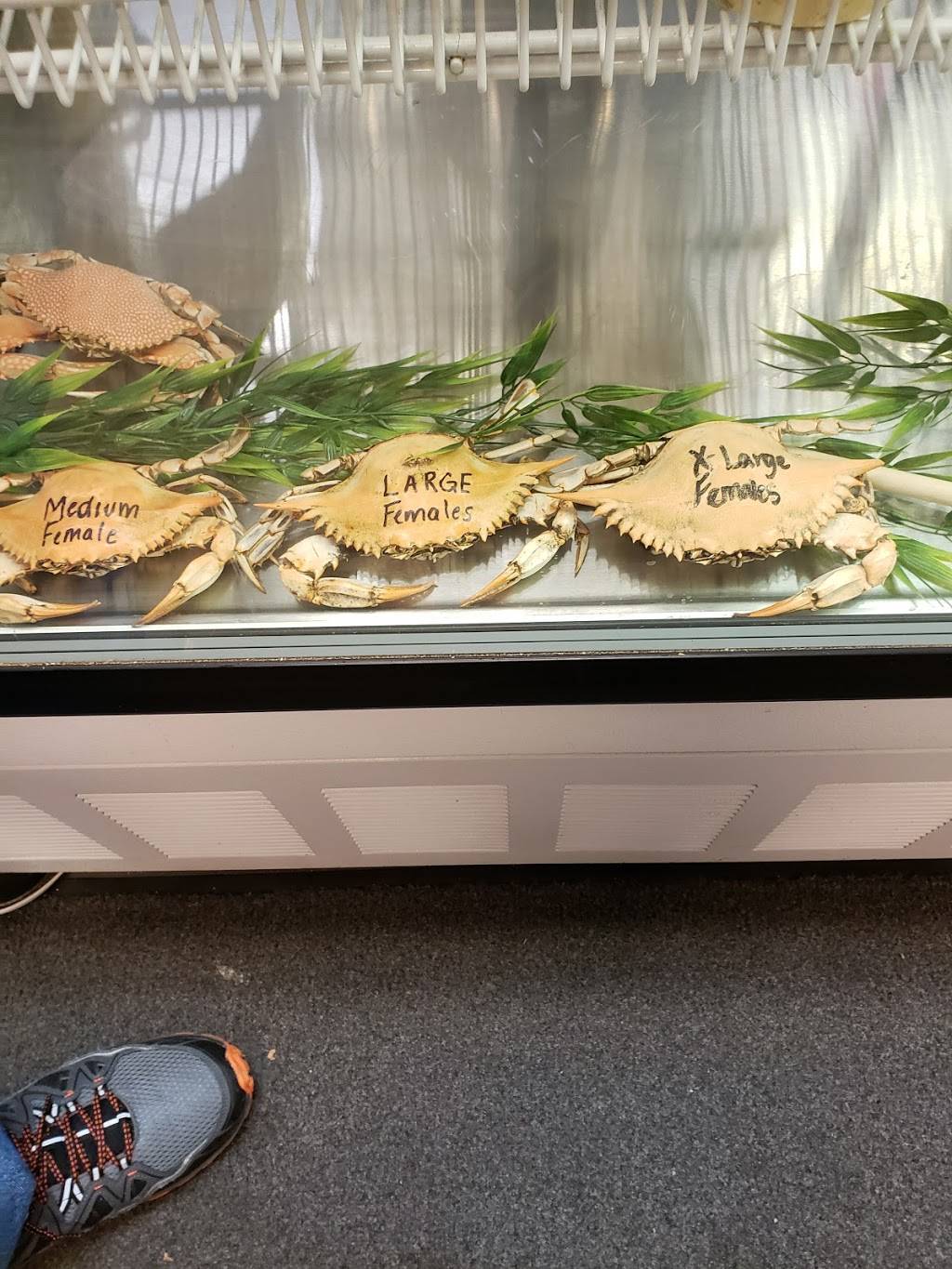 Corner Crab House | restaurant | 4600 Erdman Ave, Baltimore, MD 21205, USA | 4104857442 OR +1 410-485-7442