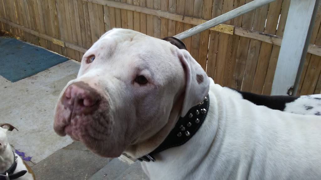 Red Barn Bar & Grill | restaurant | 646 N 8th St, Allentown, PA 18102, USA | 6104335376 OR +1 610-433-5376