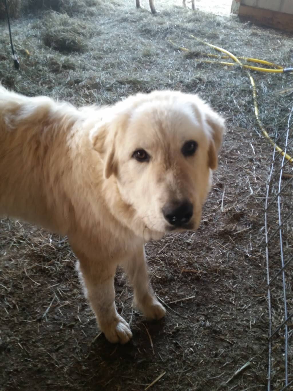 Harbs Farm | restaurant | 7802 Vienna Rd, Blossvale, NY 13308, USA | 9143207959 OR +1 914-320-7959