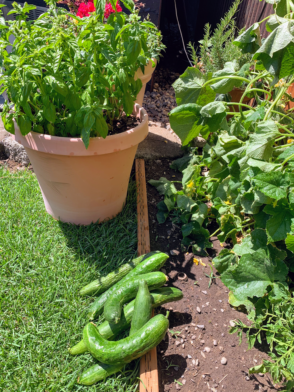 Old Mill Tavern | restaurant | 10174 Main St, Peshastin, WA 98847, USA | 5094709979 OR +1 509-470-9979