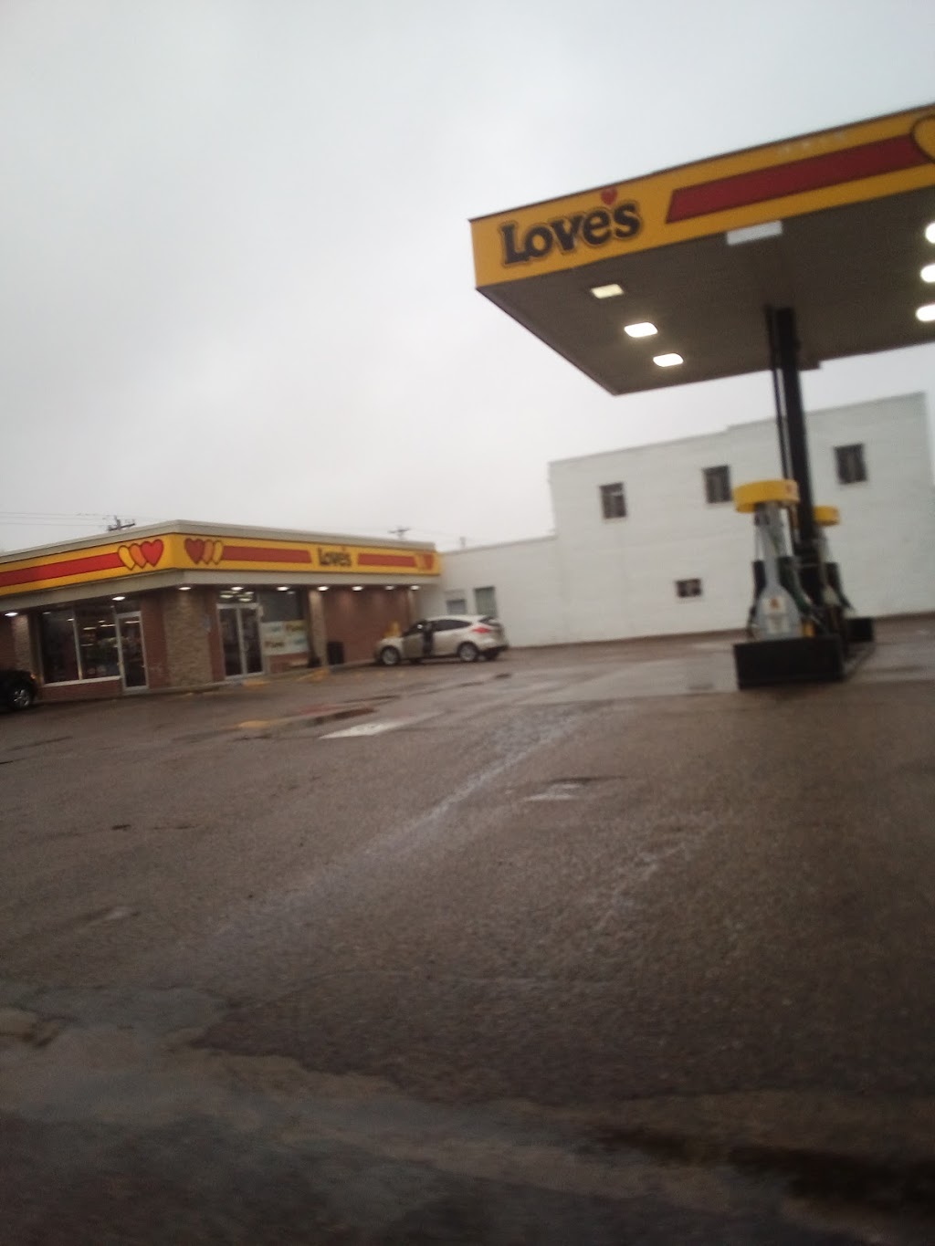 Chicken Yummy | restaurant | 5505 E Fowler Ave, Temple Terrace, FL 33617, USA | 8138678008 OR +1 813-867-8008