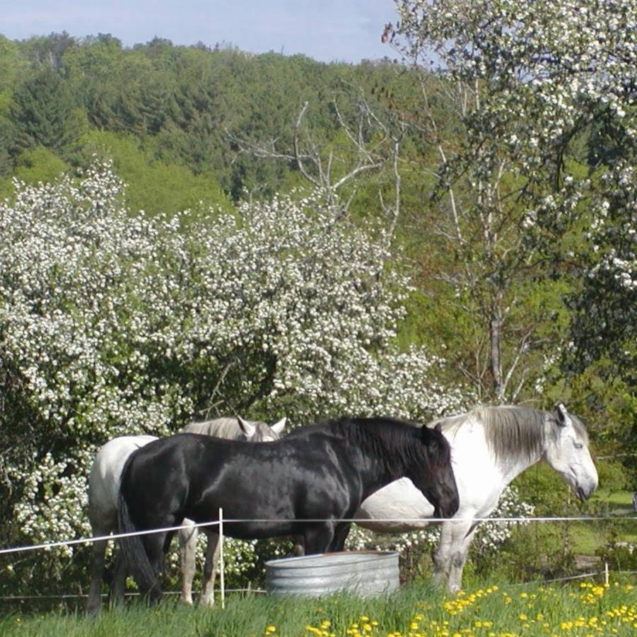 Landgrove Inn | restaurant | 132 Landgrove Rd, Landgrove, VT 05148, USA | 8028246673 OR +1 802-824-6673