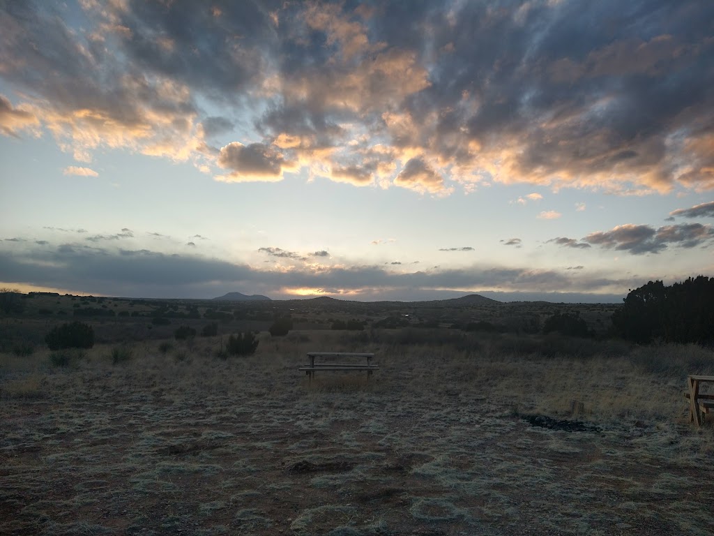 Tumbleweeds Diner | restaurant | 1408 1st St, Magdalena, NM 87825, USA | 5754187537 OR +1 575-418-7537