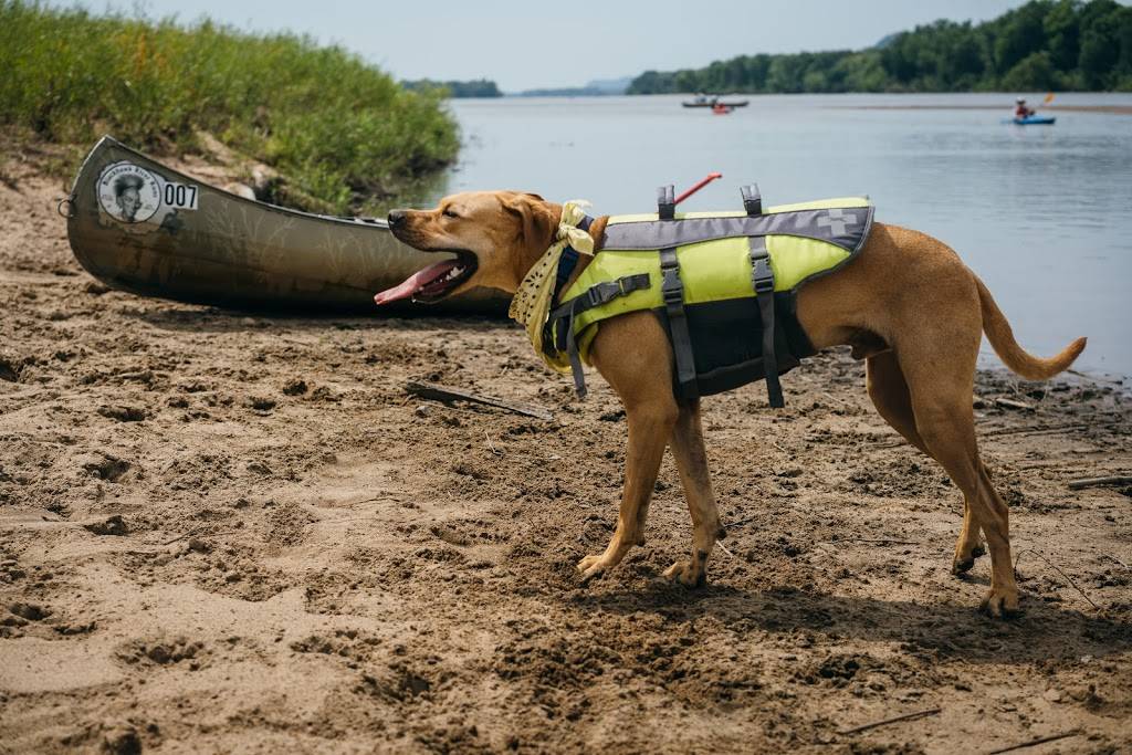 Traders Bar and Grill Island Campground | restaurant | 6174 US-14, Arena, WI 53503, USA | 6085887282 OR +1 608-588-7282