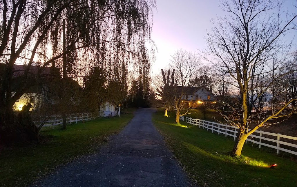 Océane Vineyards and Winery | meal takeaway | 1661 Kings Hwy, Chester, NY 10918, USA | 8456105454 OR +1 845-610-5454