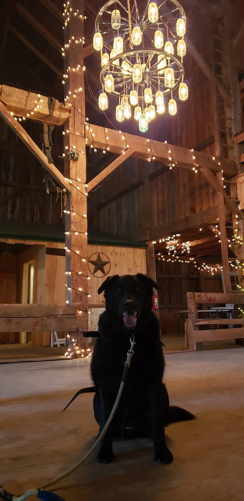 Mound Grove Golf Course | restaurant | 10760 Donation Rd, Waterford, PA 16441, USA | 8147962767 OR +1 814-796-2767