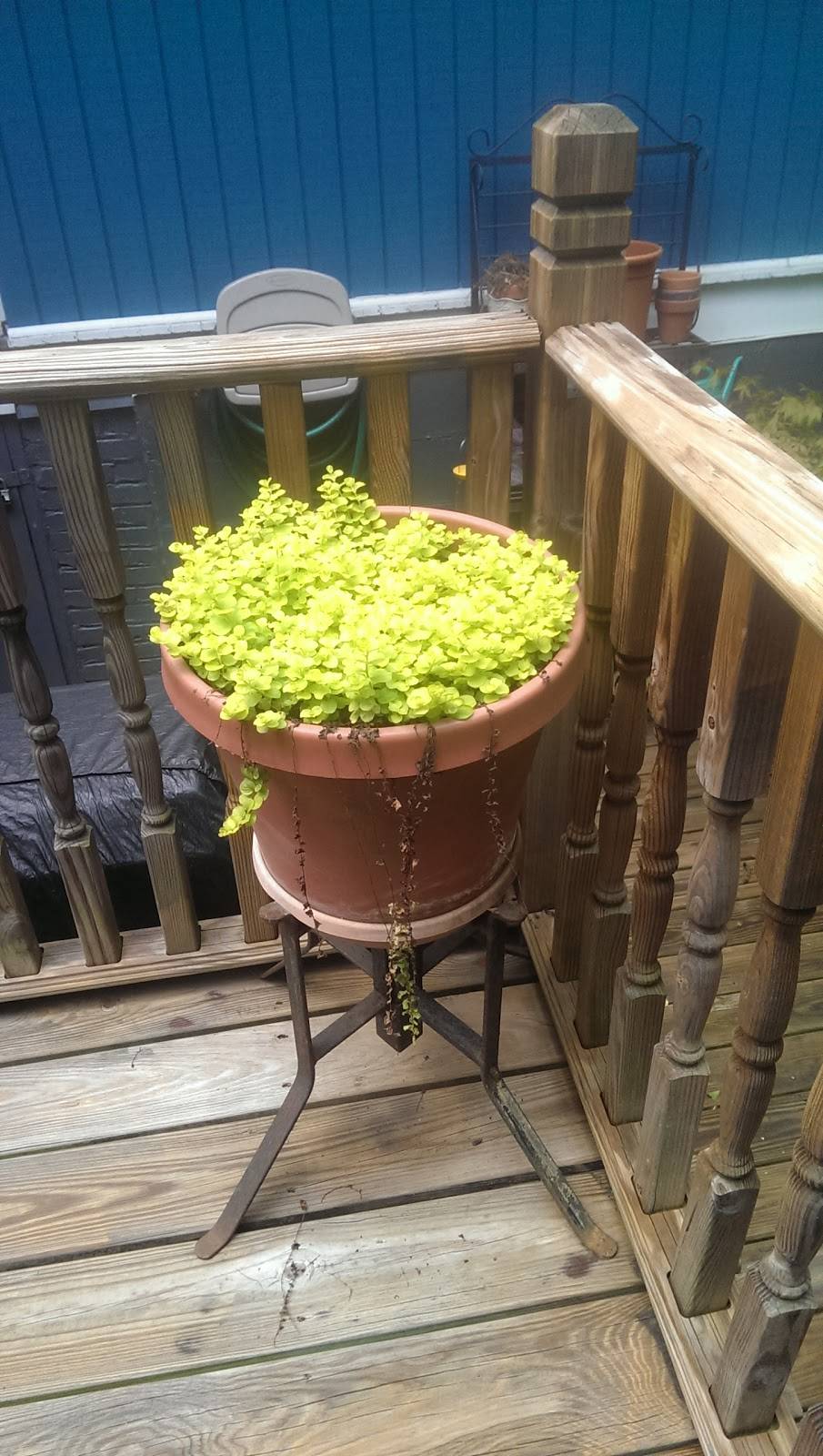 Spoon EastSide Restaurant | restaurant | 749 Moreland Ave SE, Atlanta, GA 30316, USA | 4046244713 OR +1 404-624-4713