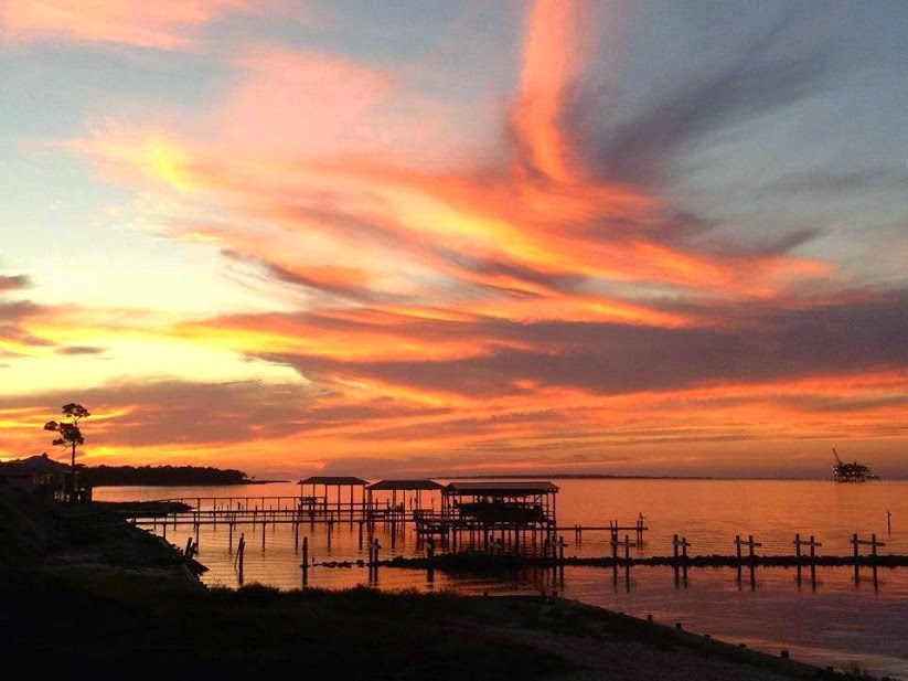 Tacky Jacks Fort Morgan | restaurant | 1577 AL-180, Gulf Shores, AL 36542, USA | 2519688341 OR +1 251-968-8341