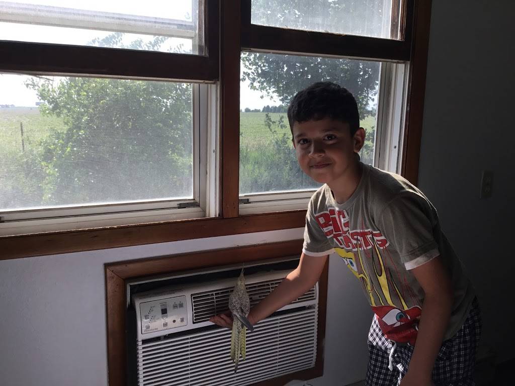 Country Kitchen Restaurant | restaurant | 1120 S Division St, Stuart, IA 50250, USA | 5155231762 OR +1 515-523-1762