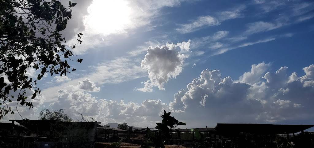 Stanfield Ranch Market | restaurant | 36820 AZ-84, Stanfield, AZ 85172, USA | 5204243531 OR +1 520-424-3531