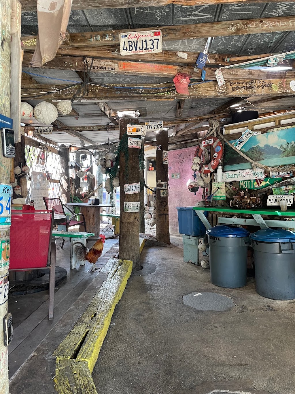 B.O.s Fish Wagon | restaurant | 801 Caroline St, Key West, FL 33040, USA | 3052949272 OR +1 305-294-9272