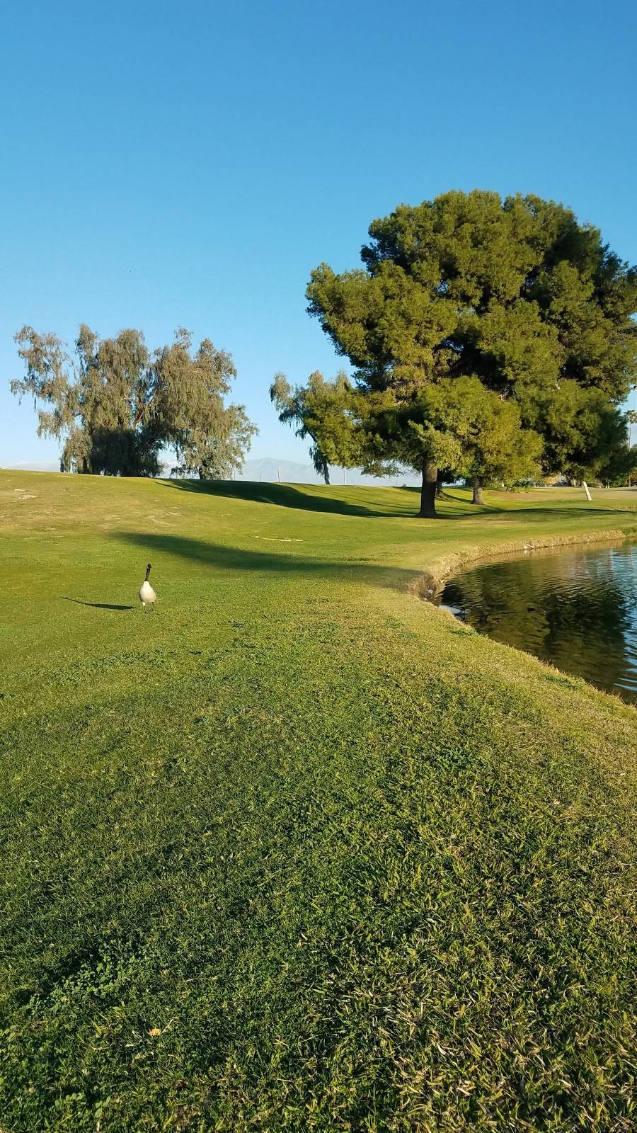 Cathedral Canyon Golf Club | restaurant | 68311 Paseo Real, Cathedral City, CA 92234, USA | 7603286571 OR +1 760-328-6571