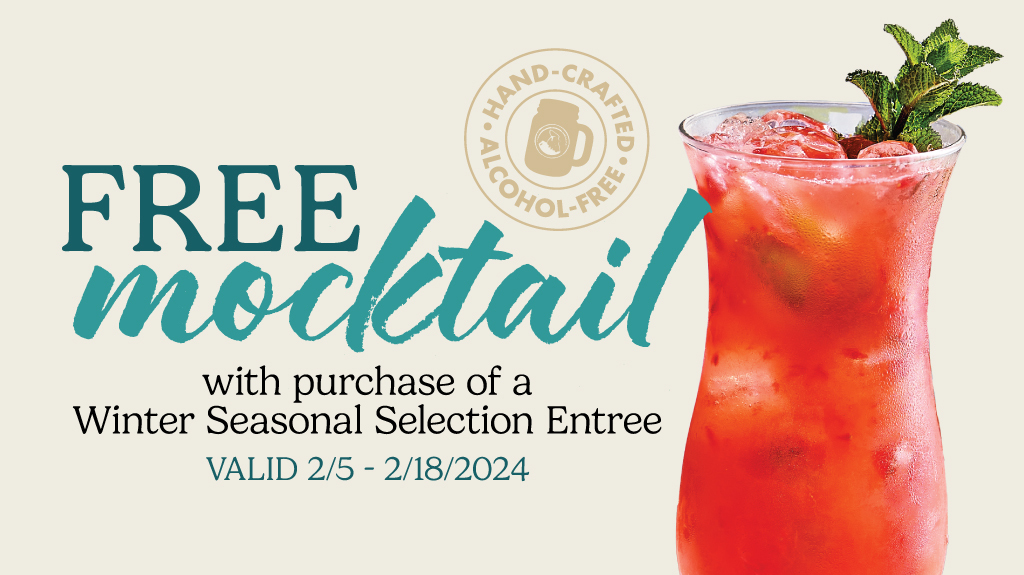 Another Broken Egg Cafe | cafe | 1590 E 9 Mile Rd, Pensacola, FL 32514, USA | 8504624855 OR +1 850-462-4855