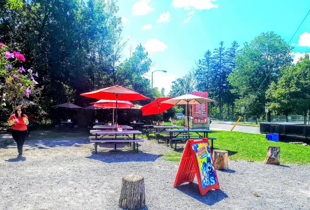 Fitzs Fries | restaurant | 1088 Bridge St, Manotick, ON K4M 1J2, Canada | 6138833743 OR +1 613-883-3743