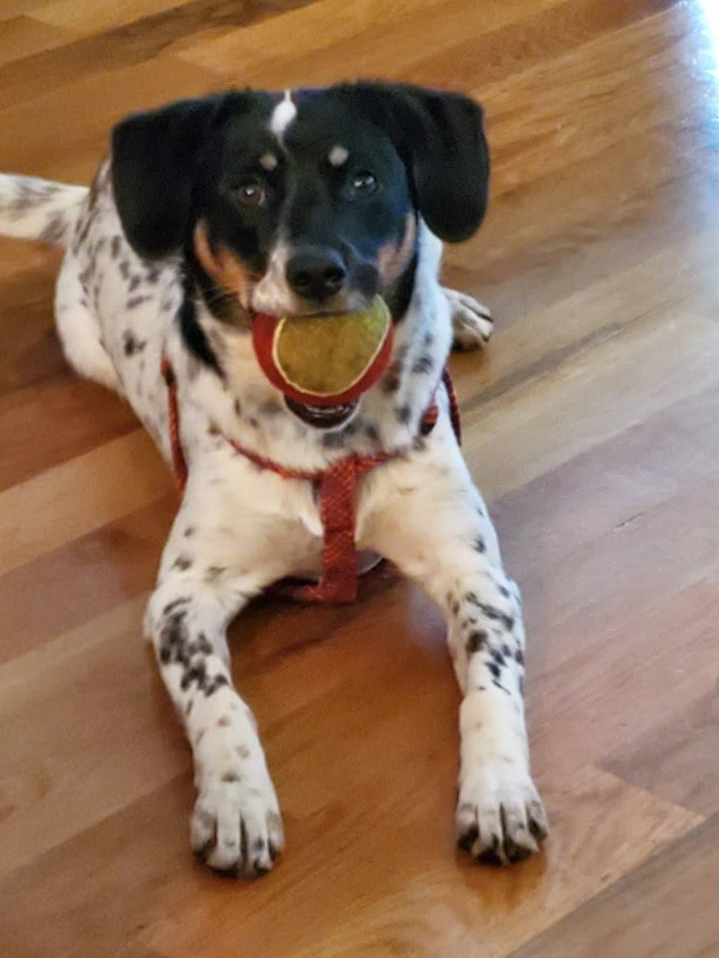 Pax Breu Ruim | restaurant | 516 E Main St, Chattanooga, TN 37408, USA | 4236484677 OR +1 423-648-4677