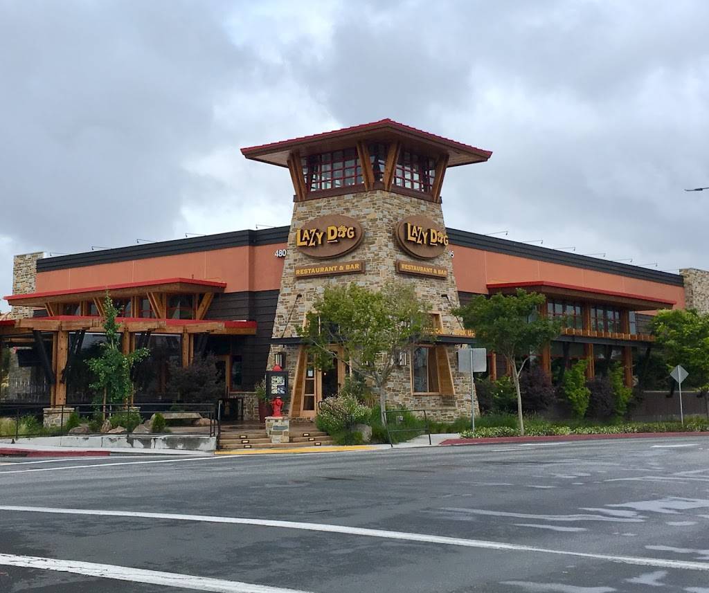 Lazy Dog Restaurant & Bar | restaurant | 4805 Hacienda Dr, Dublin, CA 94568, USA | 9253613690 OR +1 925-361-3690