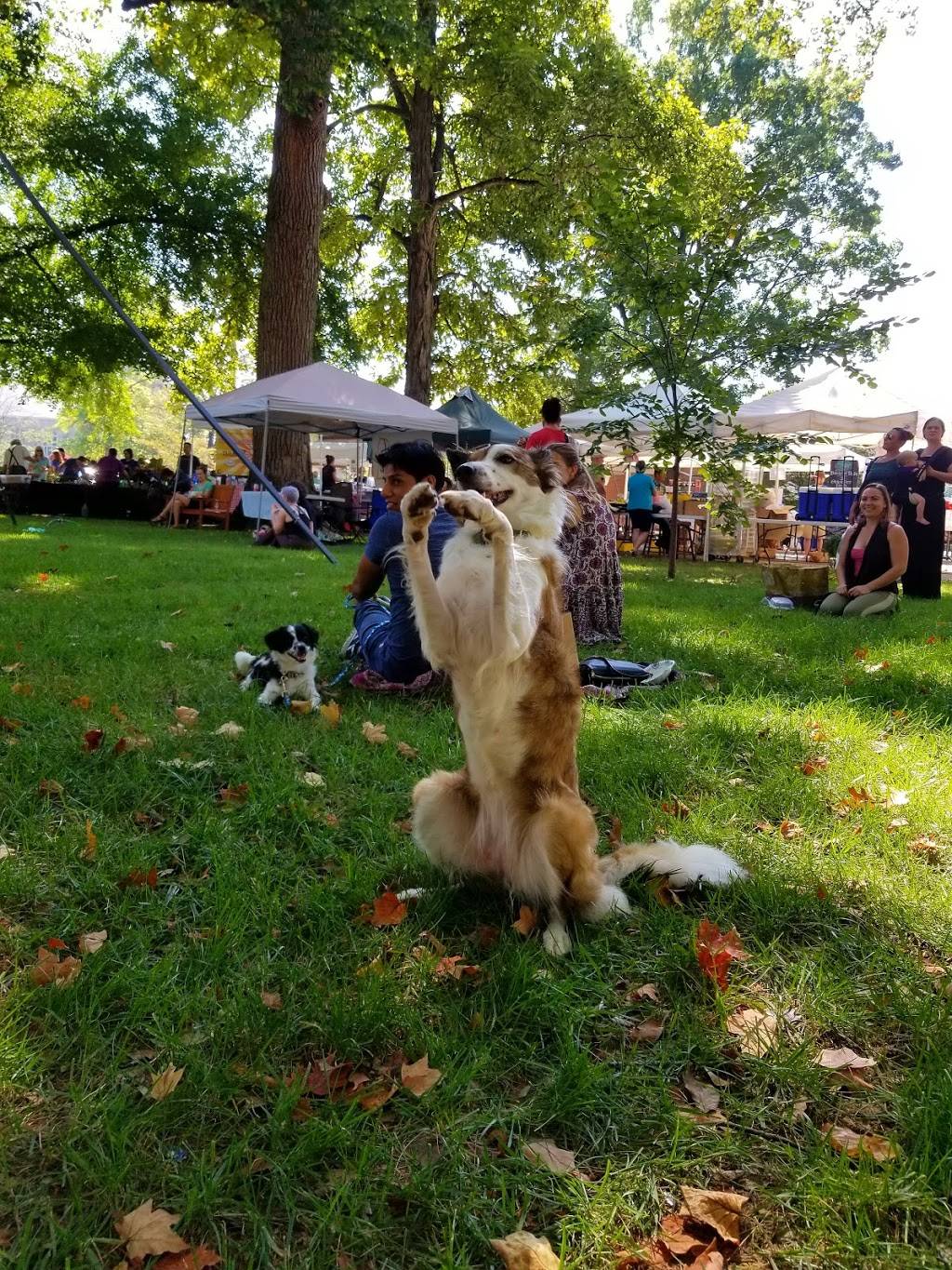 Douglass Loop Farmers Market | restaurant | 2005 Douglass Blvd, Louisville, KY 40205, USA | 5024522629 OR +1 502-452-2629