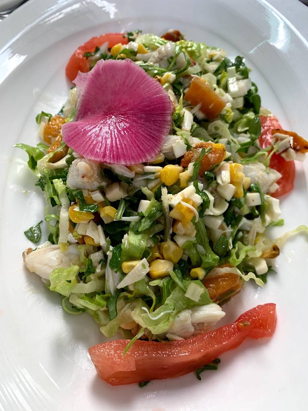 Bice | restaurant | 313 Worth Ave, Palm Beach, FL 33480, USA | 5618351600 OR +1 561-835-1600