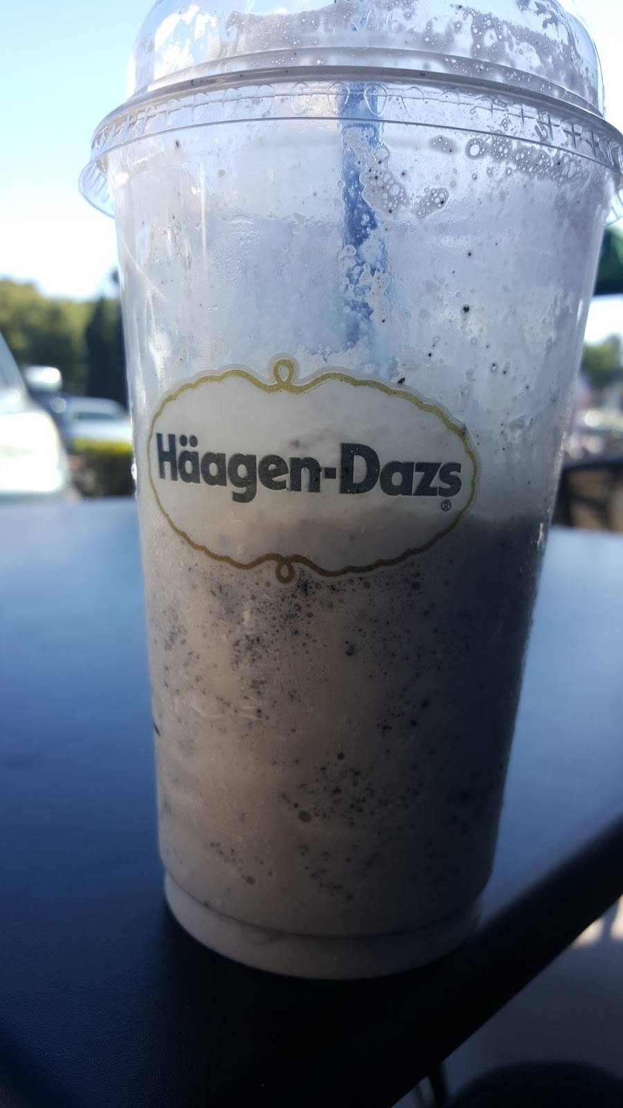 Haagen-Dazs | restaurant | #120C, 5620 Paseo Del Norte, Carlsbad, CA 92008, USA | 8007670120 OR +1 800-767-0120