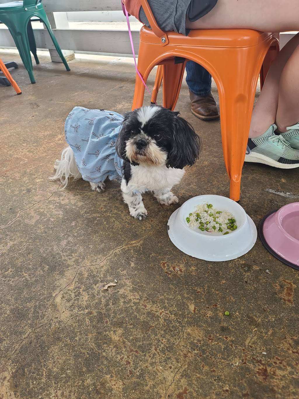 Pour House Pizza and Beer Garden | restaurant | 505 W Thomas St, Hammond, LA 70401, USA | 9854023826 OR +1 985-402-3826