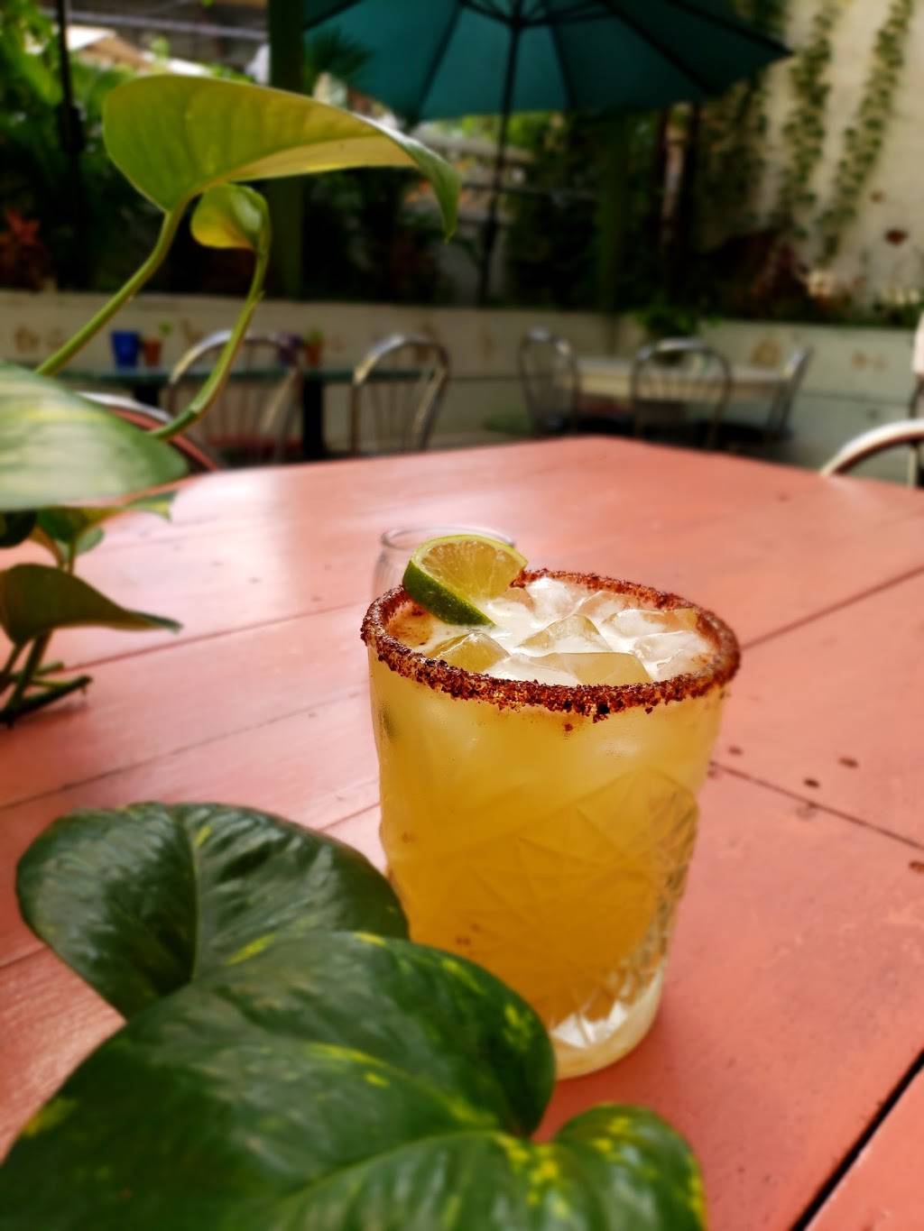 La Slowteria | restaurant | 548 Court St, Brooklyn, NY 11231, USA | 9179091231 OR +1 917-909-1231