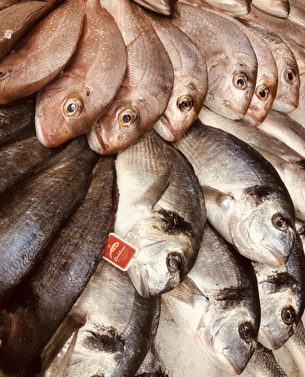 Akami Sushi | restaurant | 1725 Woodside Rd C, Redwood City, CA 94061, USA | 6502577192 OR +1 650-257-7192