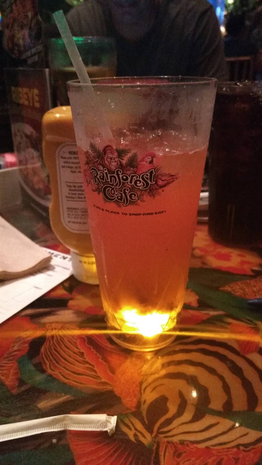 Rainforest Cafe Shop-Animal Kingdom | restaurant | Walt Disney World Resort, Kissimmee, FL 34747, USA | 4079389100 OR +1 407-938-9100