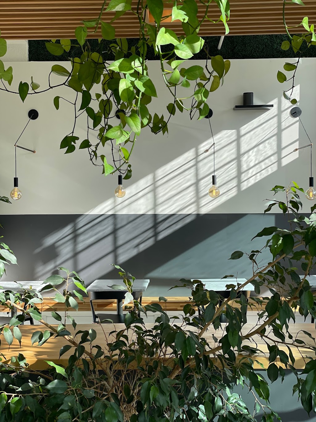 Café Happy | cafe | 1408 NE 40th St, Seattle, WA 98105, USA | 4258229696 OR +1 425-822-9696