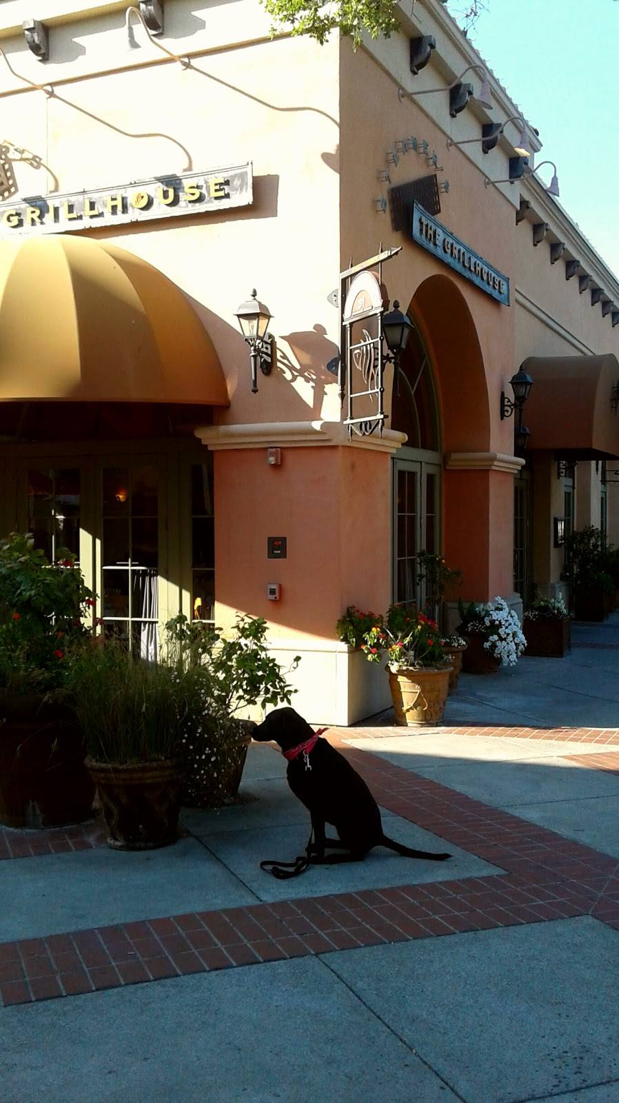 Steamers Grillhouse | restaurant | 31 University Ave, Los Gatos, CA 95030, USA | 4083952722 OR +1 408-395-2722