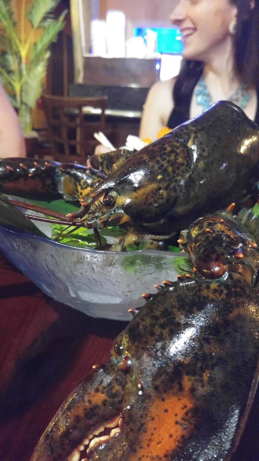 Ninja Sushi Japanese Restaurant | meal takeaway | 4076 Belfort Rd, Jacksonville, FL 32216, USA | 9042967268 OR +1 904-296-7268