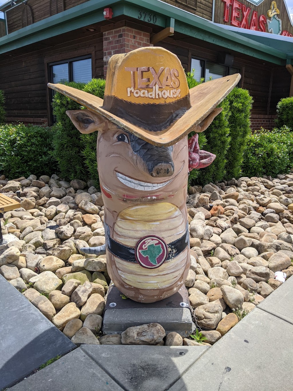 Texas Roadhouse | restaurant | 3730 Montgomery Hwy, Dothan, AL 36303, USA | 3347925826 OR +1 334-792-5826