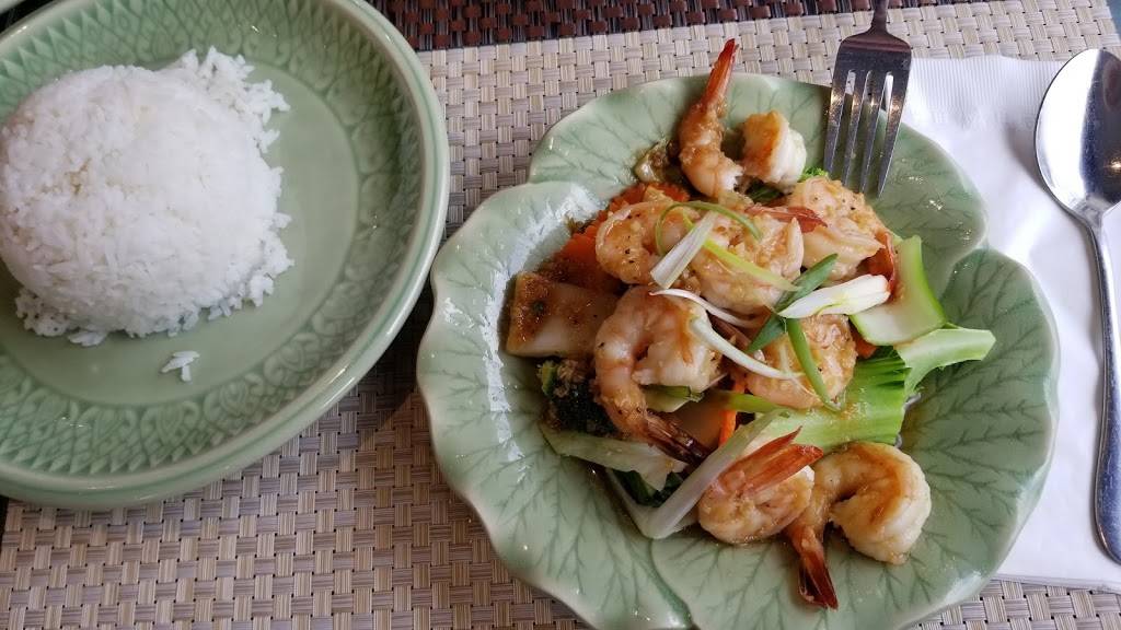 My Thai Kitchen | restaurant | 4911 Dundas St W, Etobicoke, ON M9A 1B2, Canada | 4165193356 OR +1 416-519-3356